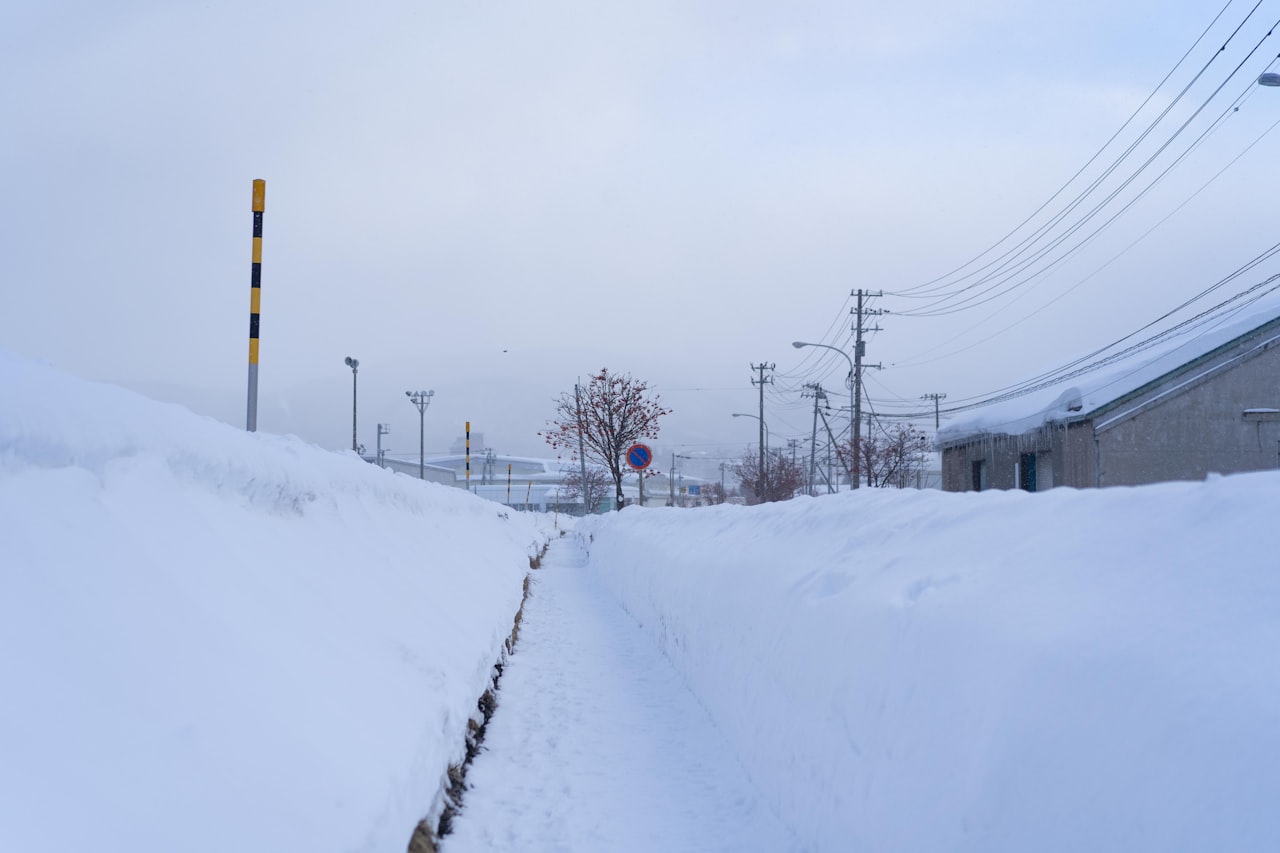 Snowy Road